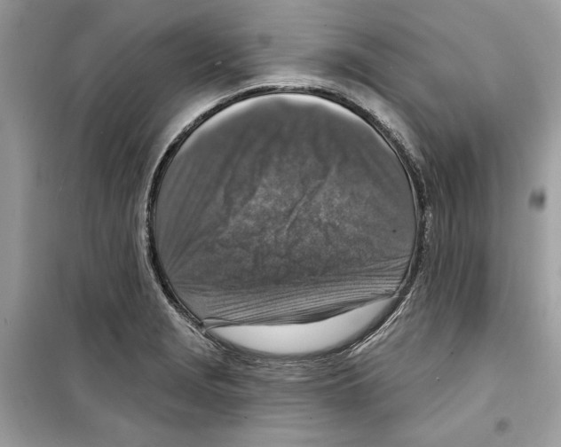 X0000098171229200805221508