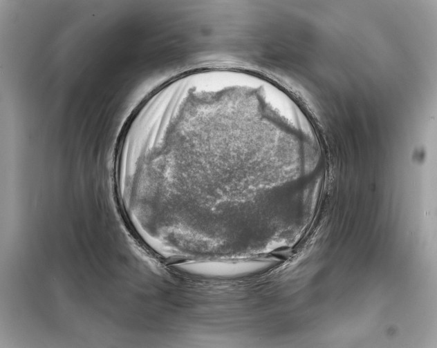 X0000098171231200805221508