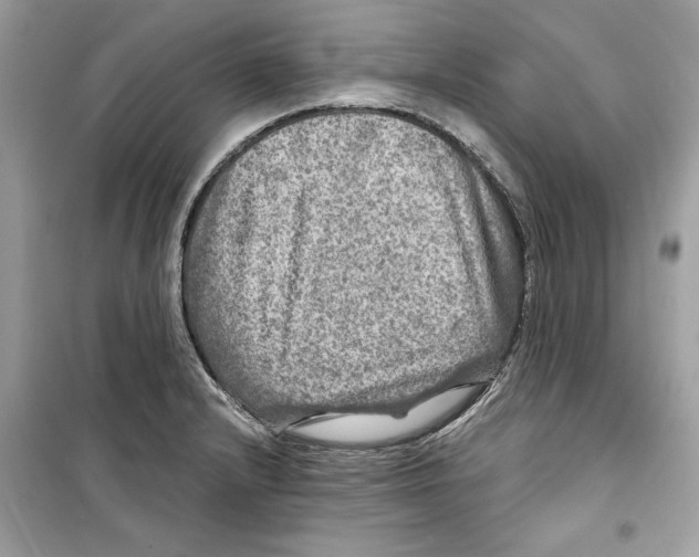 X0000098171232200805221508