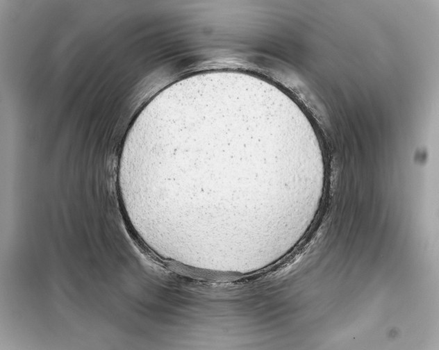 X0000098171233200805221508