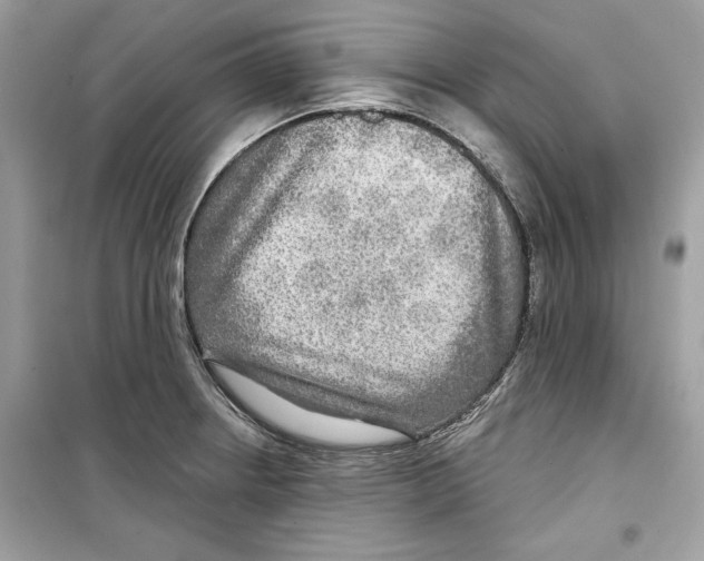 X0000098171234200805221508