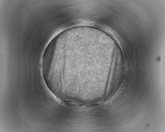 X0000098171235200805221508