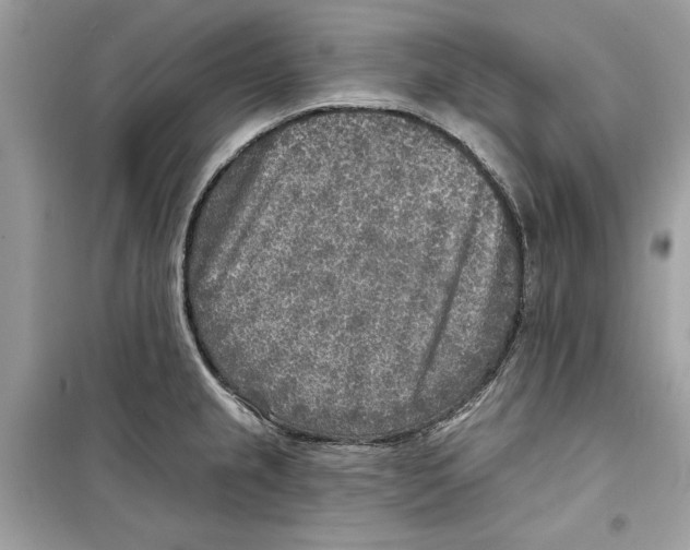 X0000098171237200805221508