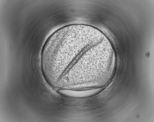 X0000098171238200805221508