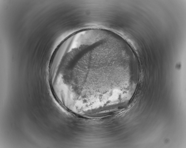 X0000098171239200805221508