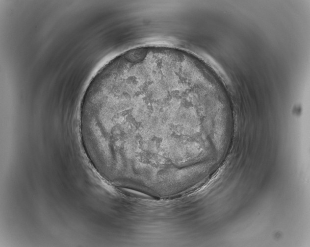 X0000098171240200805221508