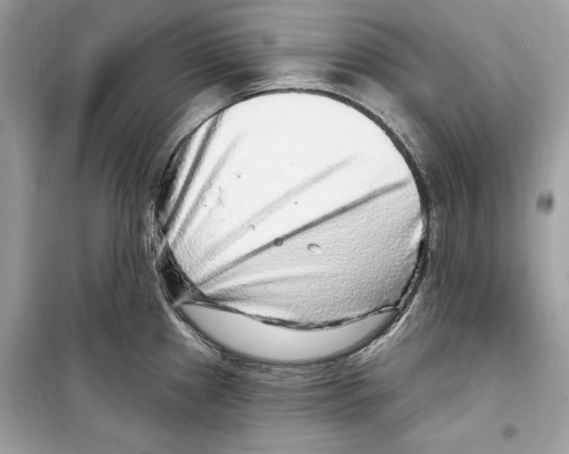 X0000098171241200805221508