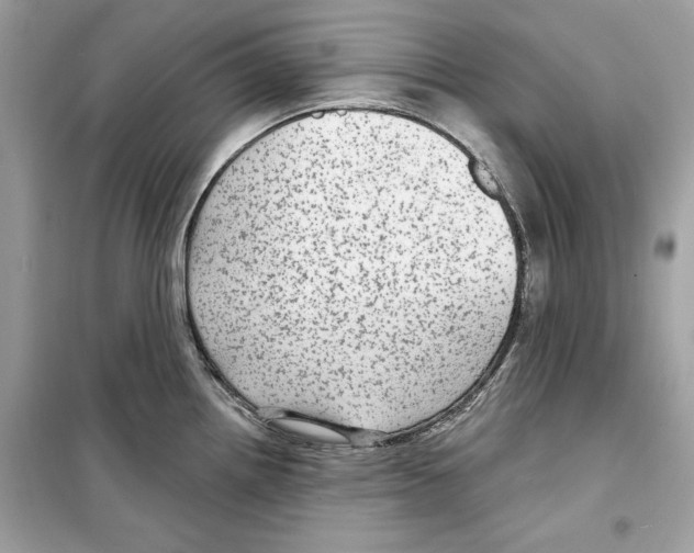 X0000098171242200805221508