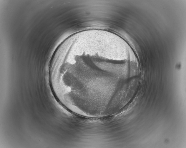 X0000098171243200805221508