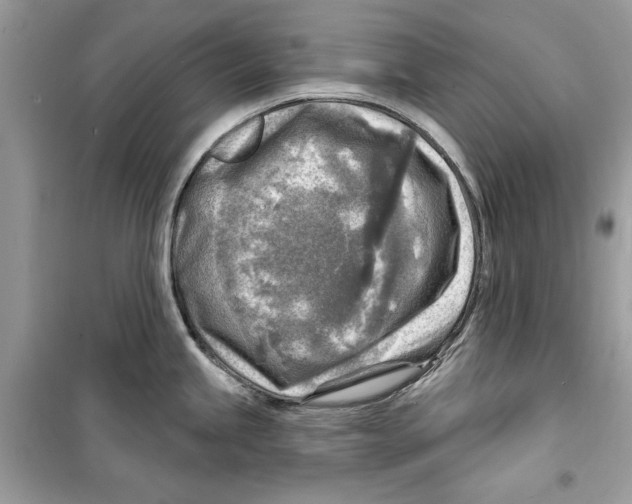 X0000098171245200805221508