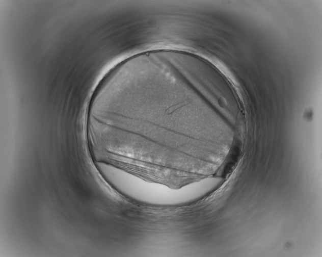 X0000098171246200805221508