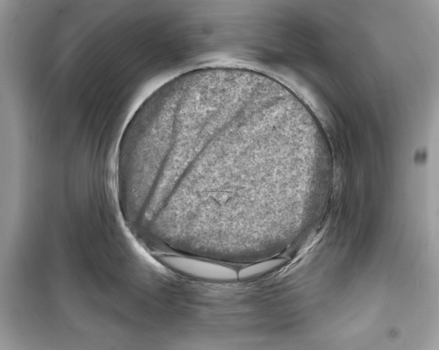 X0000098171247200805221508