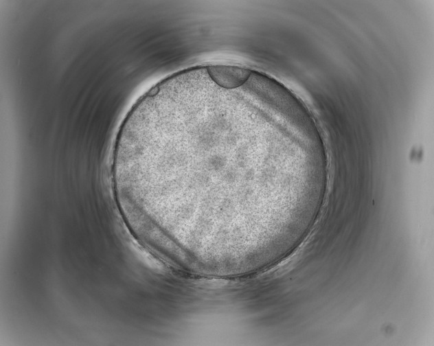 X0000098171248200805221508