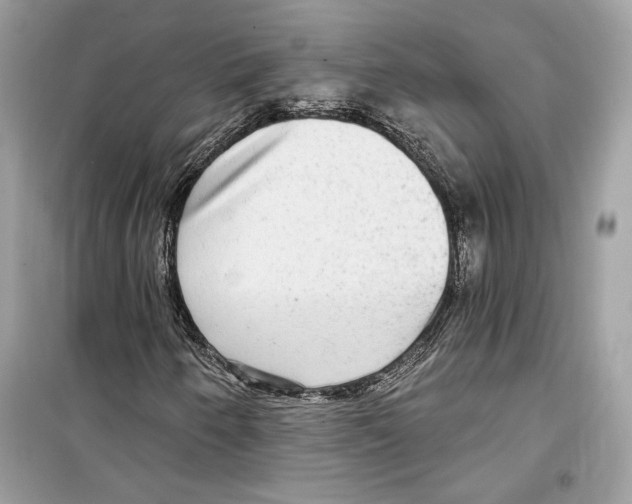 X0000098171250200805221508