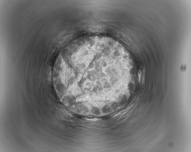 X0000098171251200805221508