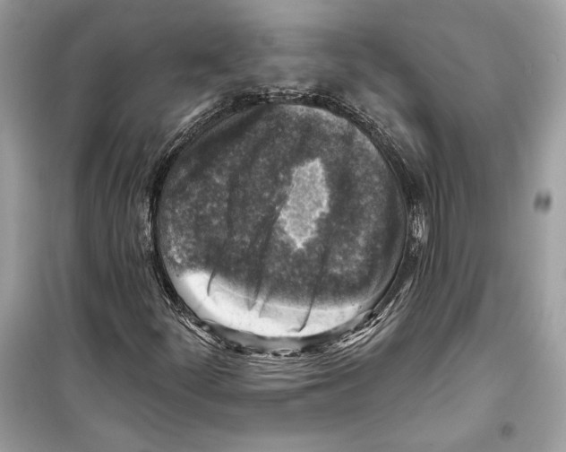 X0000098171252200805221508