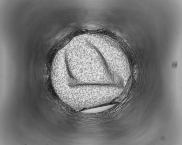 X0000098171253200805221508