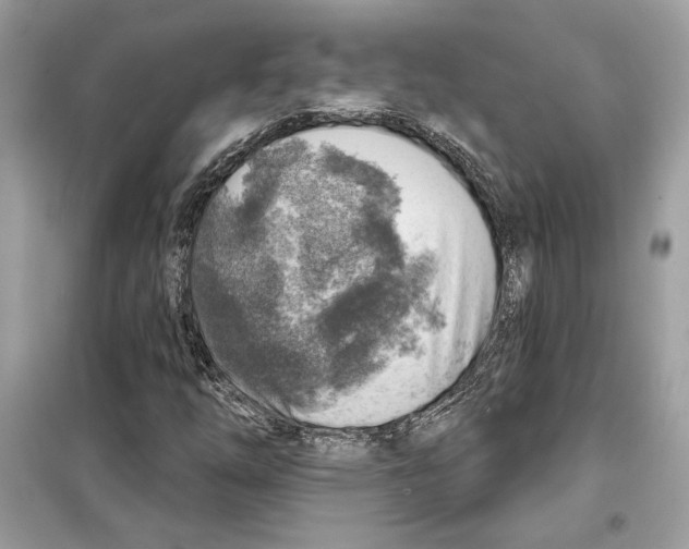 X0000098171254200805221508