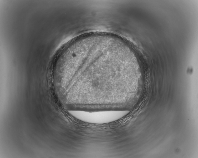 X0000098171255200805221508