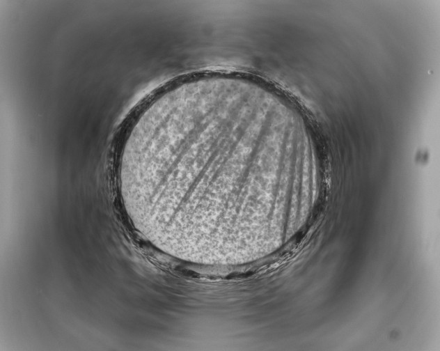 X0000098171256200805221508