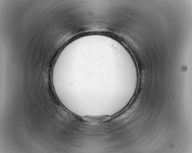 X0000098171257200805221507