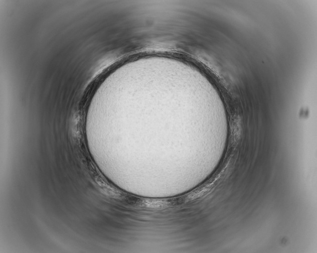 X0000098171258200805221507