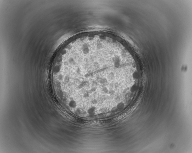 X0000098171259200805221507