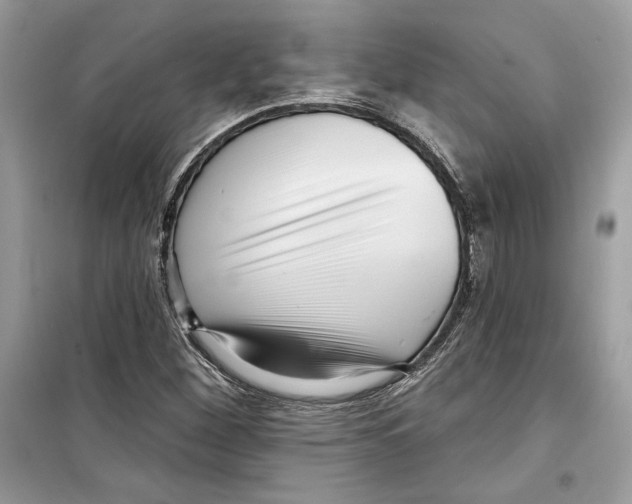 X0000098171260200805221507