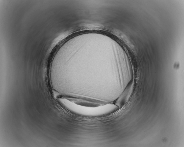 X0000098171261200805221507