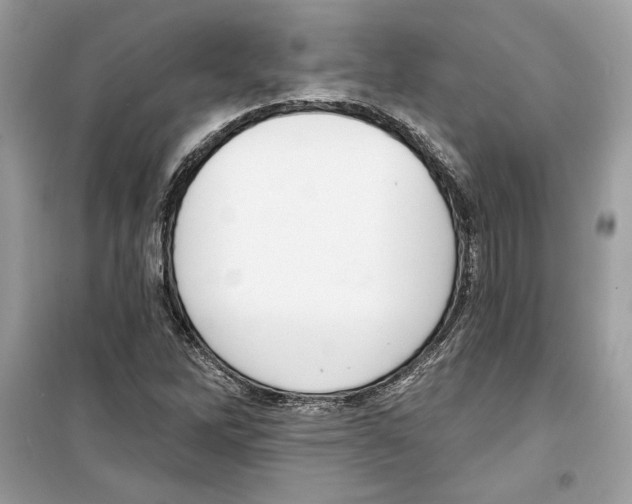 X0000098171262200805221507