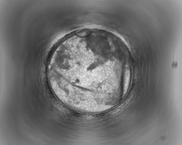 X0000098171263200805221507