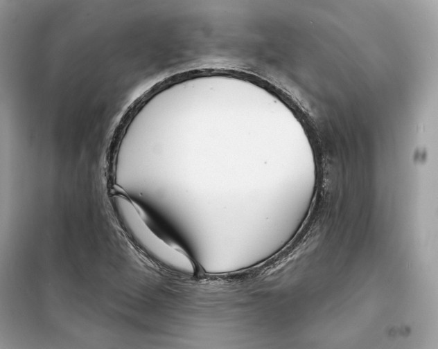 X0000098171264200805221507