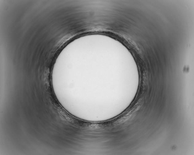 X0000098171265200805221507