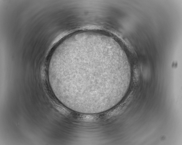 X0000098171266200805221507