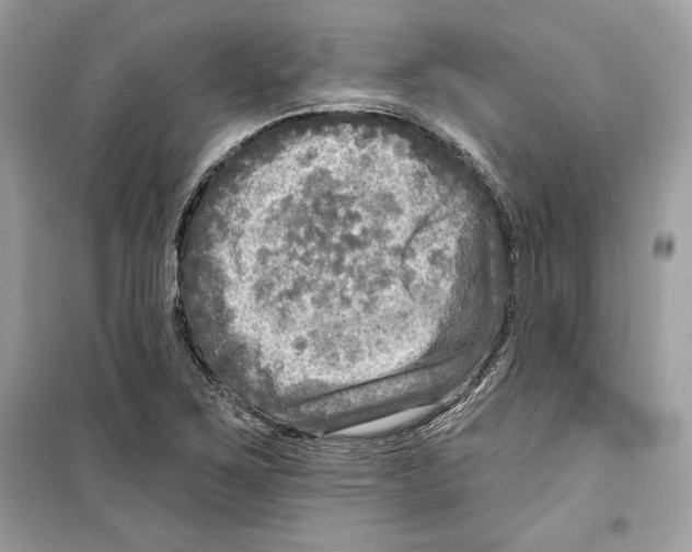 X0000098171267200805221507