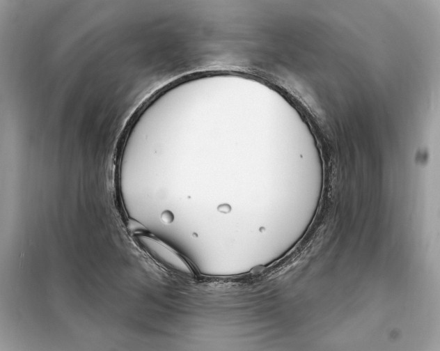 X0000098171268200805221507