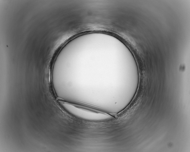 X0000098171269200805221507