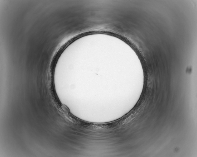 X0000098171270200805221507