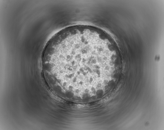 X0000098171271200805221507