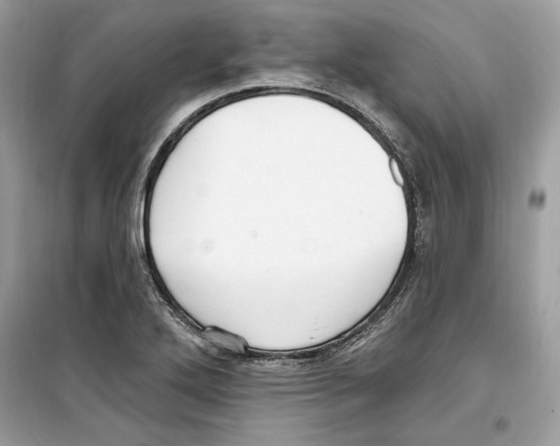 X0000098171272200805221507