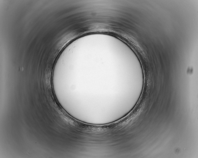 X0000098171273200805221507