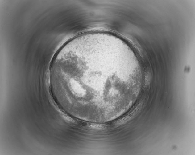 X0000098171274200805221507