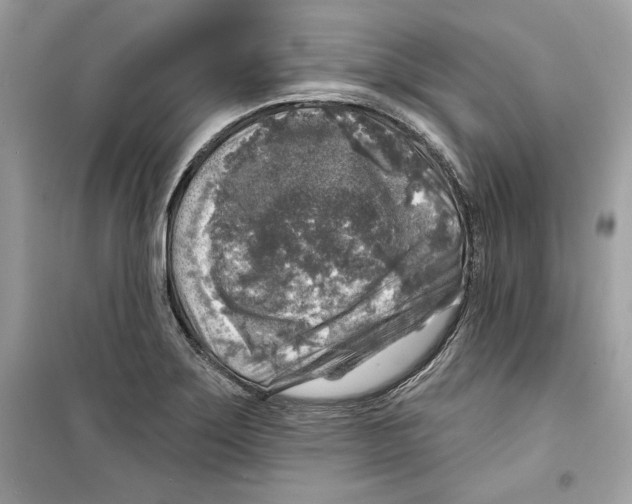 X0000098171275200805221507