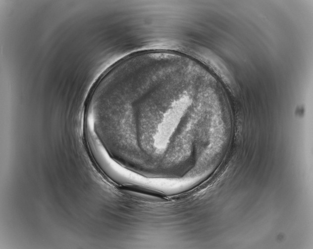 X0000098171276200805221507