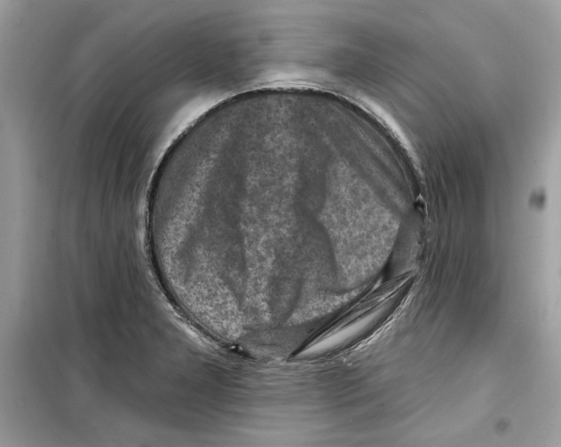 X0000098171277200805221507