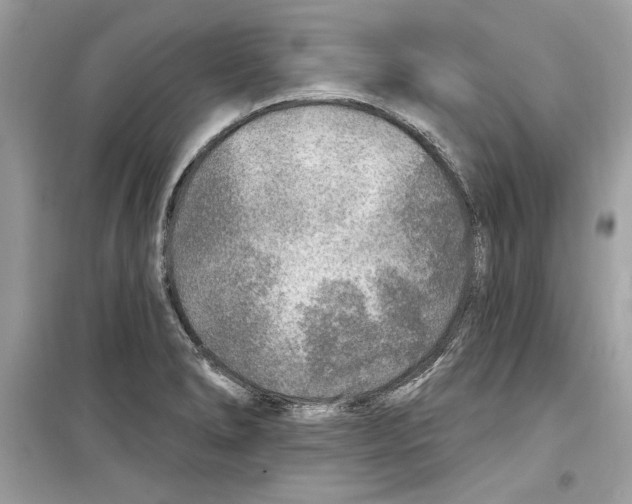 X0000098171278200805221507