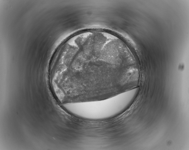 X0000098171279200805221507