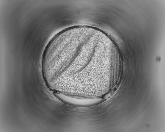 X0000098171280200805221507