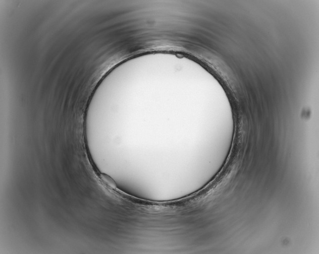 X0000098171281200805221507