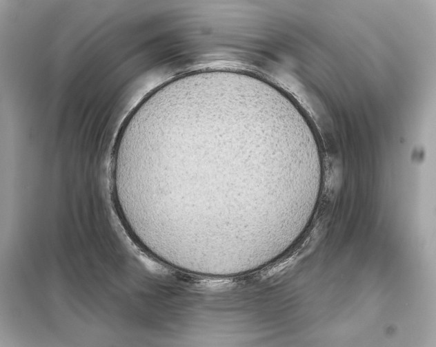 X0000098171282200805221507